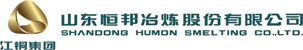 午夜精品一区二区三区在线视频